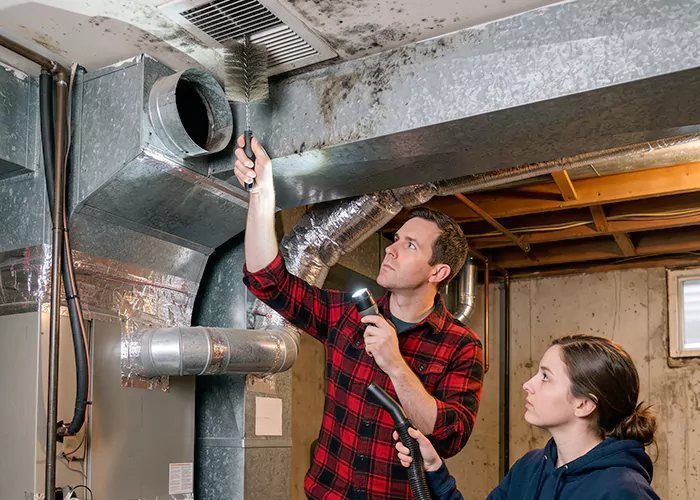 Premier HVAC Mold Remediation Company in Wayne